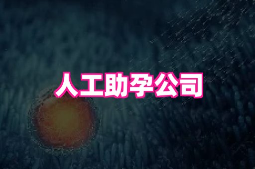 nub孕网 1